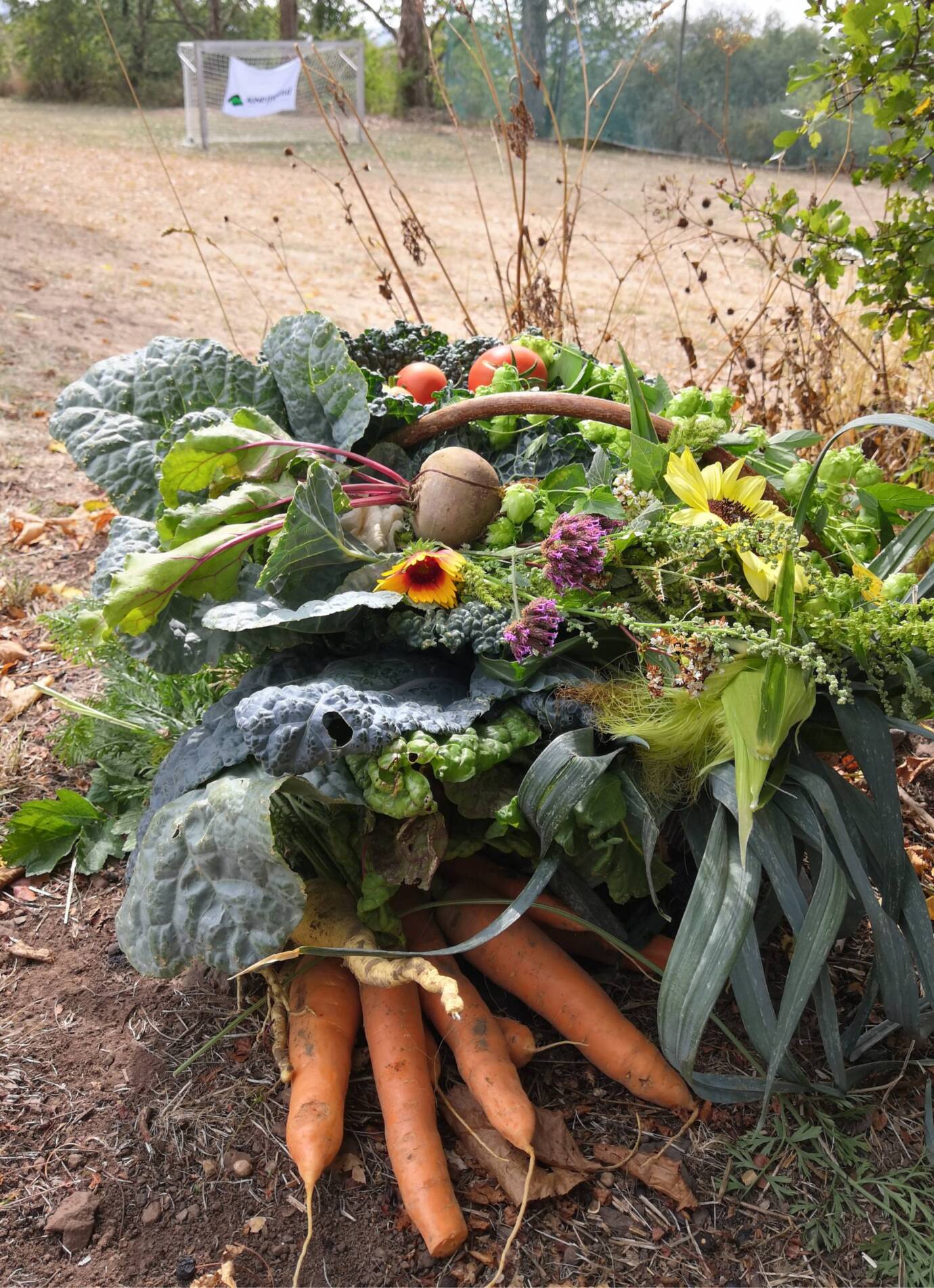 Korb mit frischem Gemüse und Blumen auf Rasen
