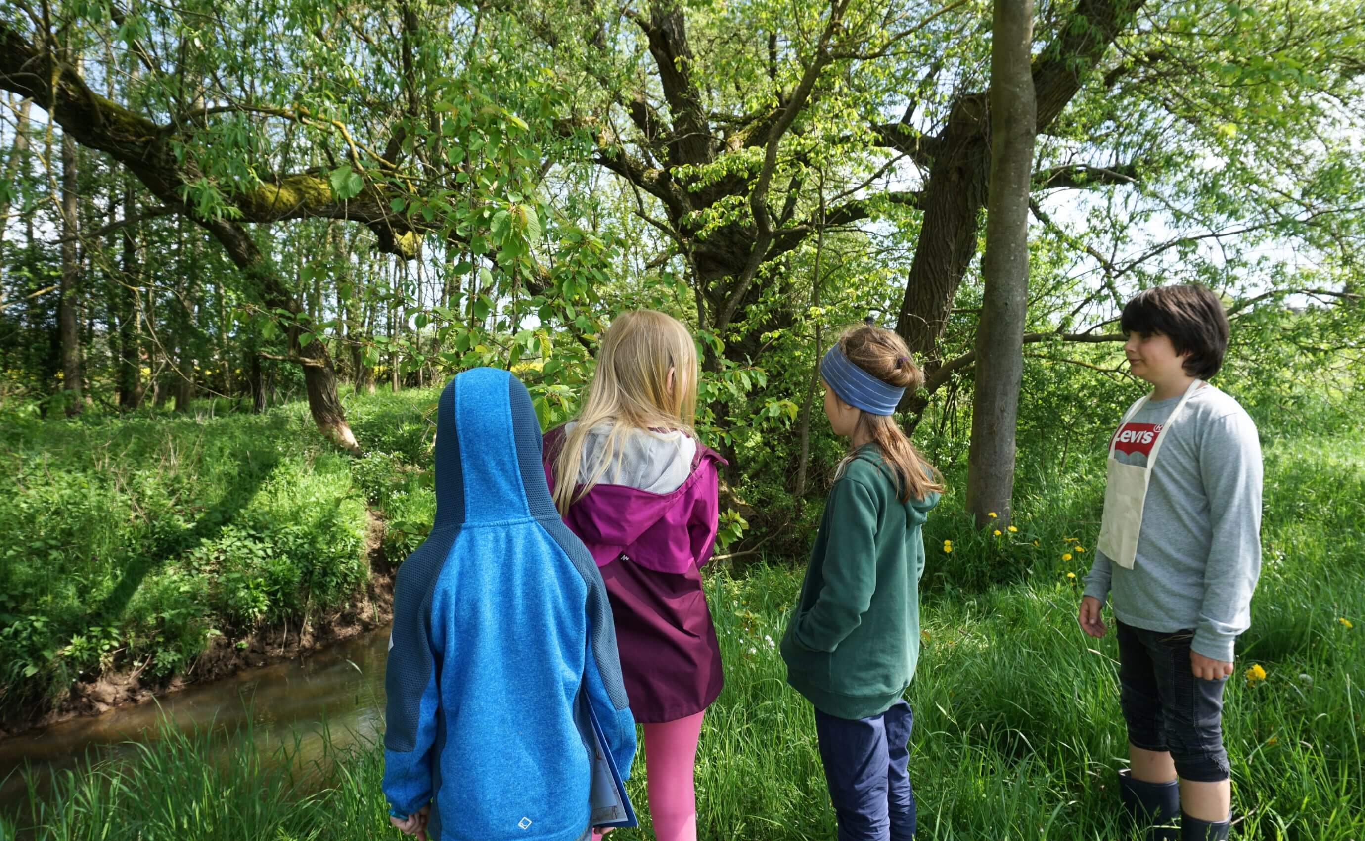 Kinder erkunden Wald nahe Bach