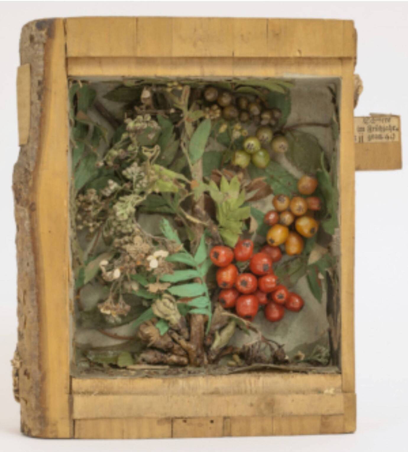 Kunstwerk mit getrockneten Pflanzen und bunt bemalten Beeren.