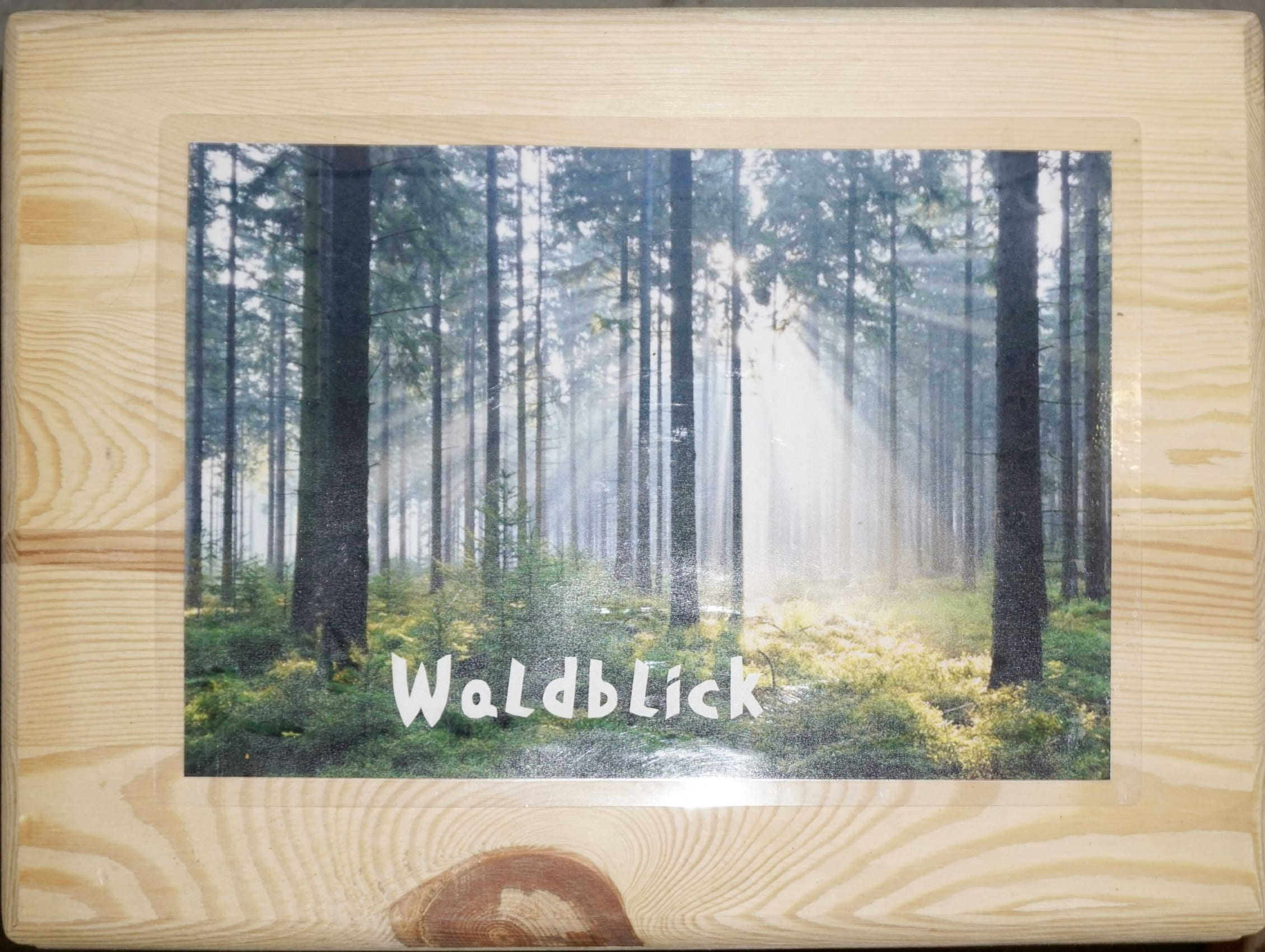 Sonnenlicht durch Bäume im Wald