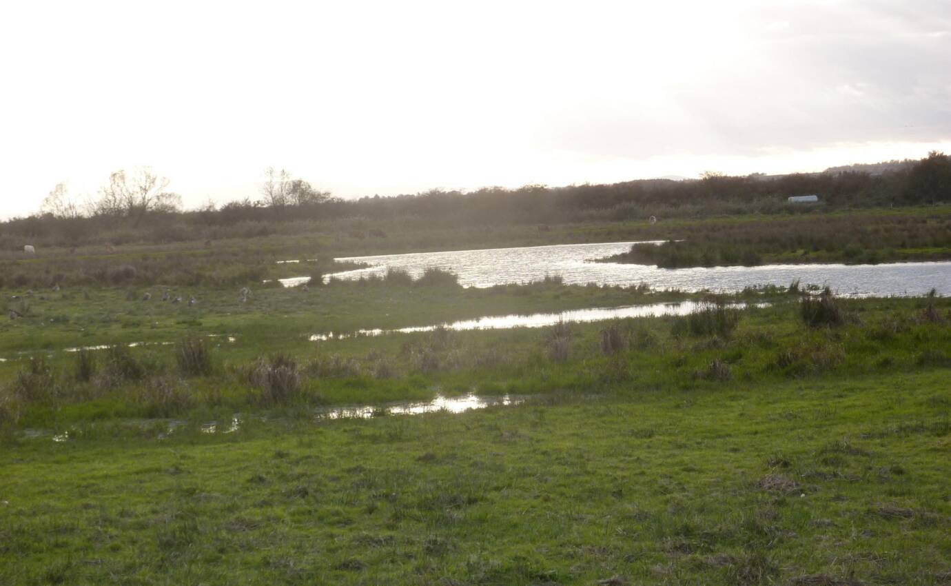 Grüne Wiese mit flachem See unter bewölktem Himmel.