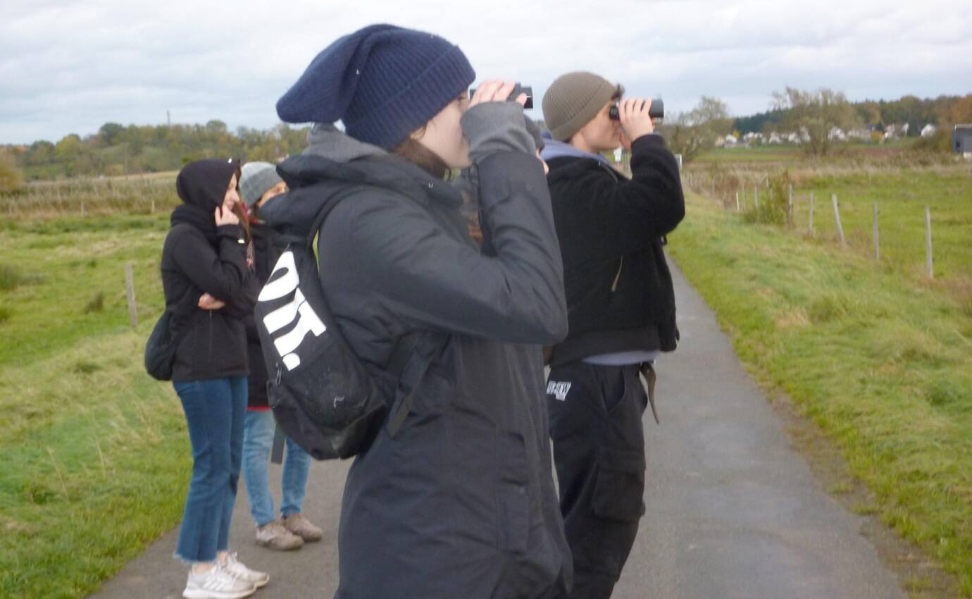 Menschen beobachten mit Ferngläsern in der Natur.