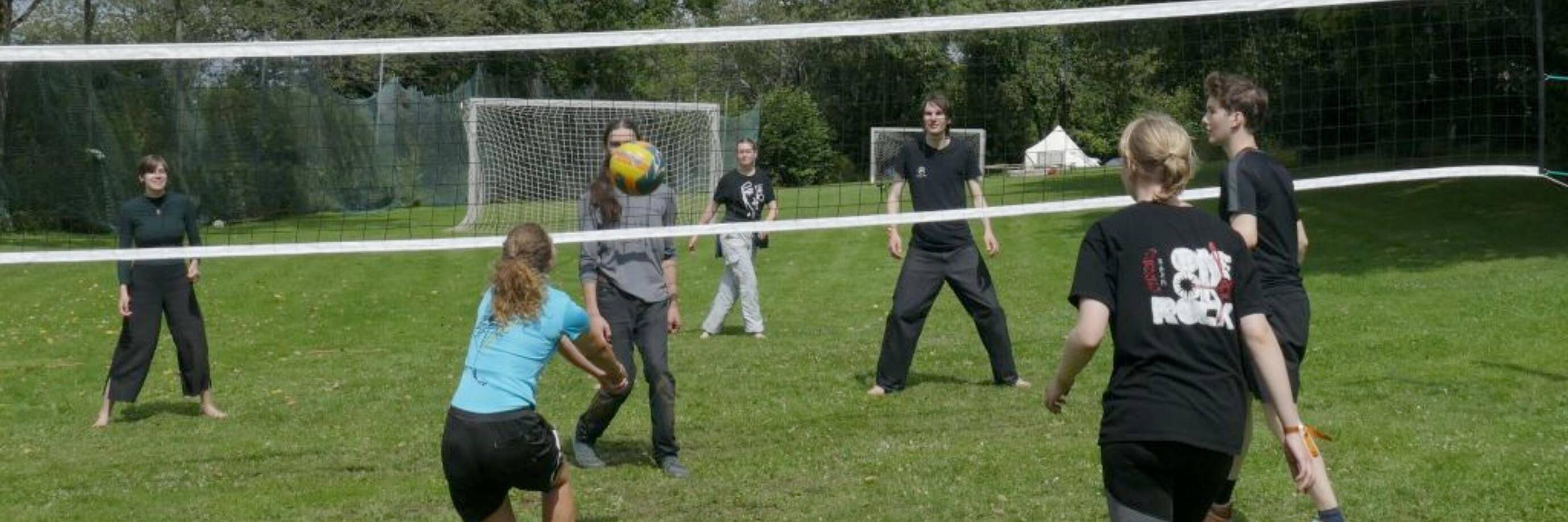 Gruppe spielt Volleyball im Freien auf Grasfeld.