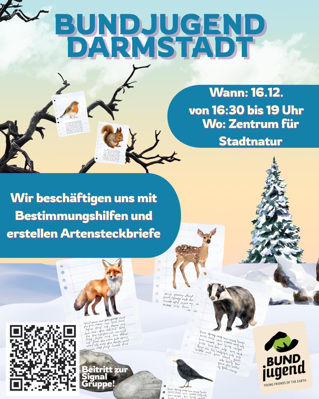 BUNDjugend Darmstadt Treffen zur Auseinandersetzung von Bestimmungshilfen und Erstellung von Artensteckbriefen.